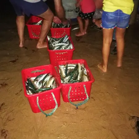 Apartment Quinta De Palames *