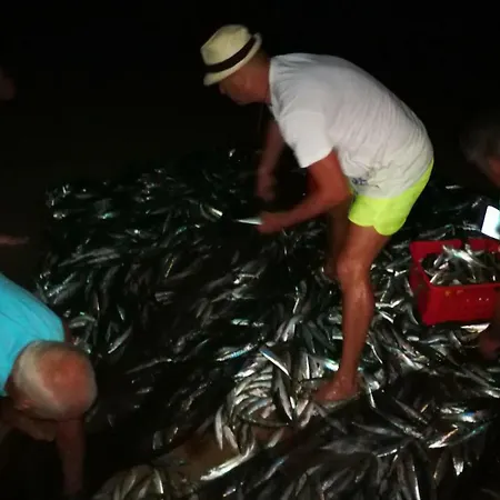 Quinta De Palames سيسيمبرا