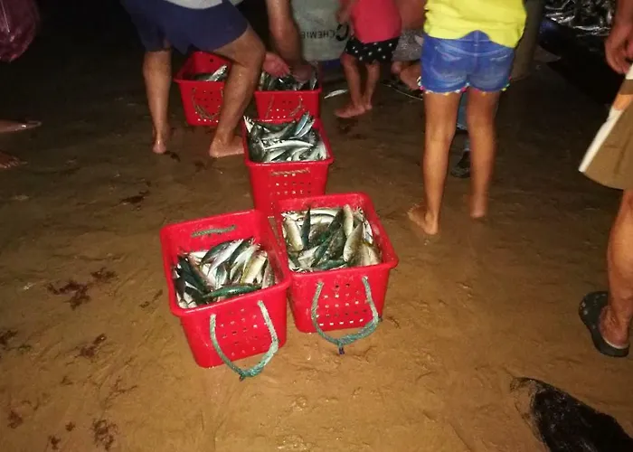 Διαμέρισμα Quinta De Palames *