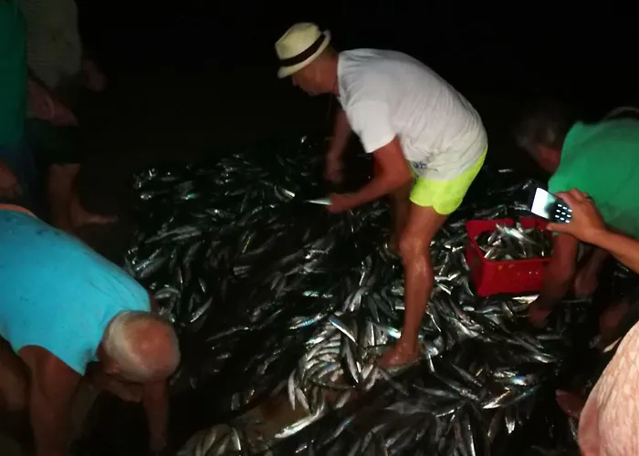 Quinta De Palames Σεσίμπρα